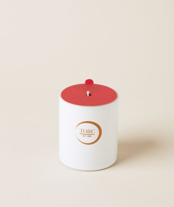 Spiced Cinnamon and Clove tumbler