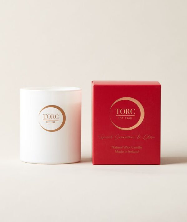 Spiced-Cinnamon-and-Clove-Tumbler