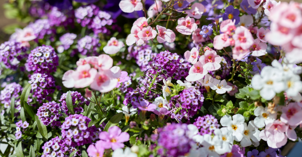 FLORAL-listingpage